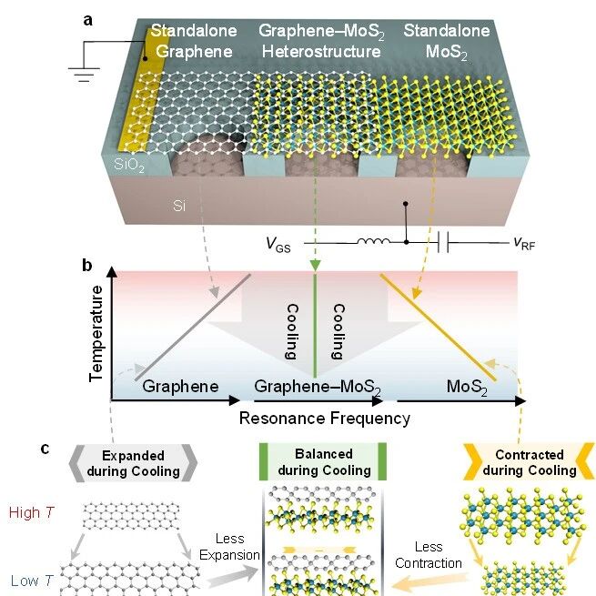 王曾晖、徐博等《Advanced Materials》：基于二维复合材料的高精度传感器