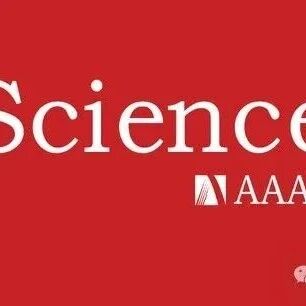 学术打假博主「耿同学」登上《Science》！静候《Nature》的官方报道！