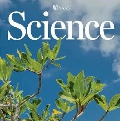 3篇 Science: 突破性合成超细单壁MoS₂纳米管、创新性光催化氧化裂解烯烃、首例立体保持的自由基‒自由基交叉偶联反应