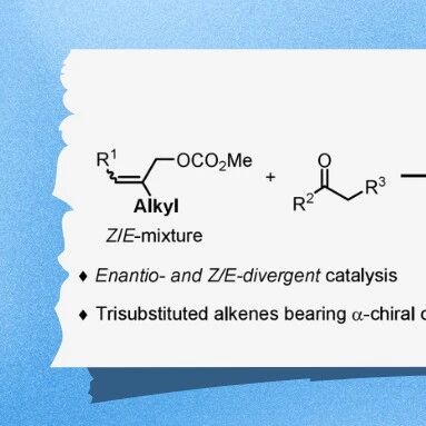 上海交通大学张万斌/霍小红、南方医科大学孙振亮最新JACS：Ni/Pd双金属协同催化对映和Z/E发散性构建三取代烯烃
