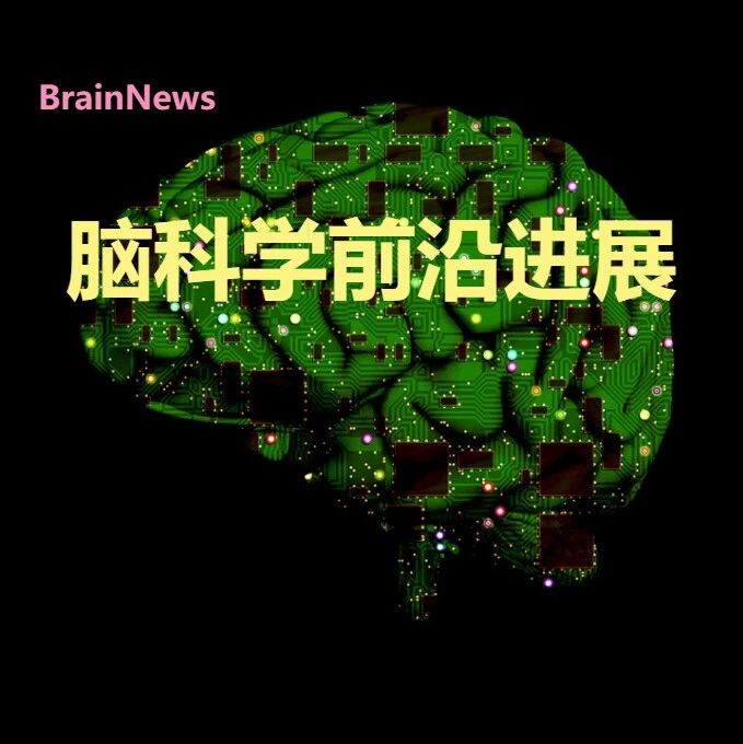 世界首次！南开大学团队实现清醒非人灵长类动物大脑神经元电生理信号机器人化膜片钳精准检测