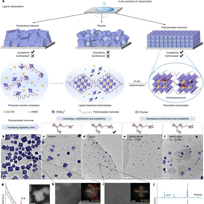严纯华院士领衔！北京大学周欢萍团队：钙钛矿纳米晶薄膜 | Nature