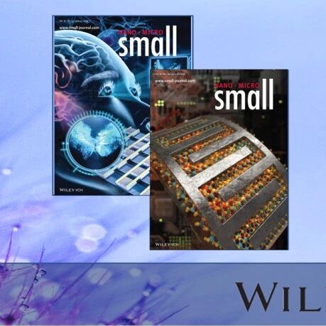 加州大学Yat Li、Xiao Wang，山东大学寇天一Small： Ni³⁺富集镍硫化物催化剂用于高效尿素氧化反应