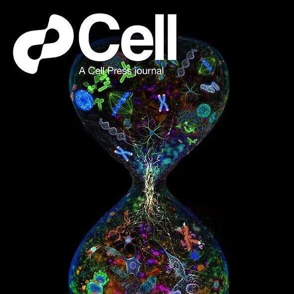 Cell封面评述丨聚焦人类衰老图谱：NIH SenNet联盟发布首批成果，绘制细胞衰老“全景地图”