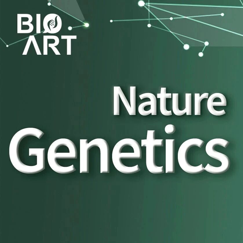 Nat Genet | 陈晨/朱兰/郝梨岚/张涛合作发布全球最大规模女性生殖道微生物基因组集，解码“女性健康密码”