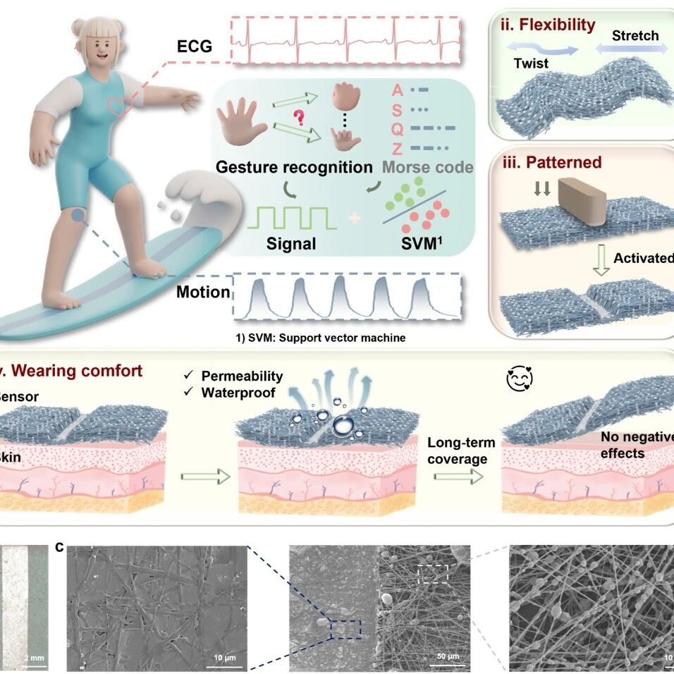 王训该/方剑教授等 AFM: 用于实时人体运动检测的仿生皮肤应变传感器
