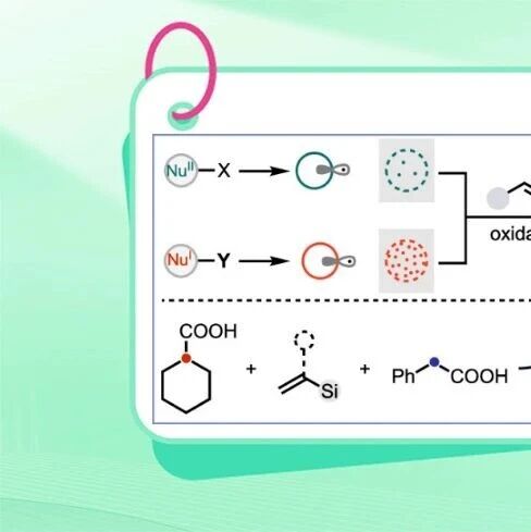 【JACS】印度科学教育与研究所Balakrishnan与Rasappan：铁和铜介导的1,2-二碳官能团化
