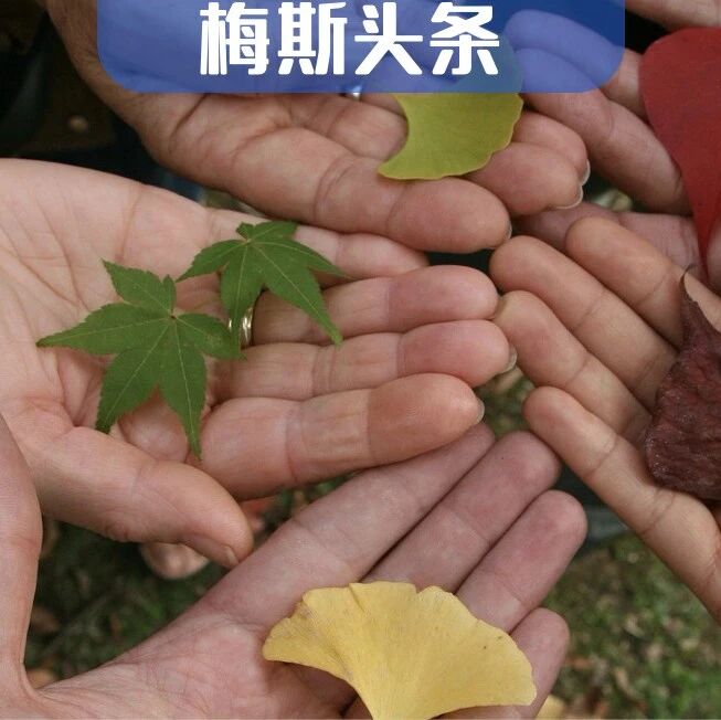 爱社交的人，生存期飙升248%？Cell子刊：每天“社牛”1小时，能抑制肿瘤生长，增强T细胞抗癌活性；且平时越爱社交，越长寿