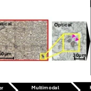 英国华威大学 Chem. Biomed. Imaging | 用于关联化学成像的多级刻蚀网格
