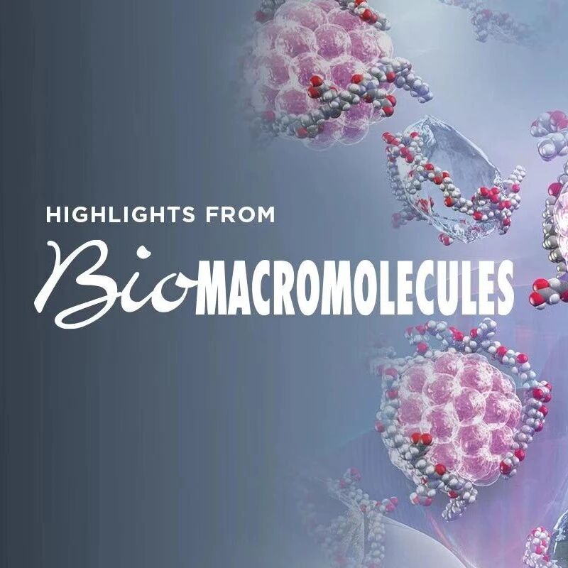 Biomacromolecules | β-葡聚糖纳米凝胶介导的类弹性蛋白肽胞内递送及促巨噬细胞极化研究