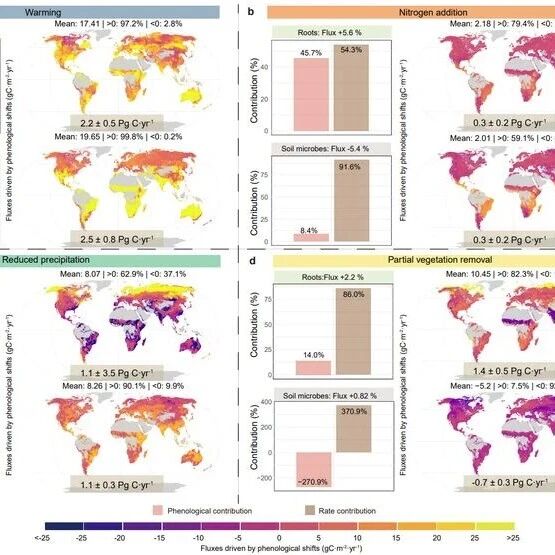 Nature Communications | 浙江大学生命科学学院陈伟乐课题组发文揭示根系和土壤微生物对全球变化的非对称物候响应及其碳汇效应