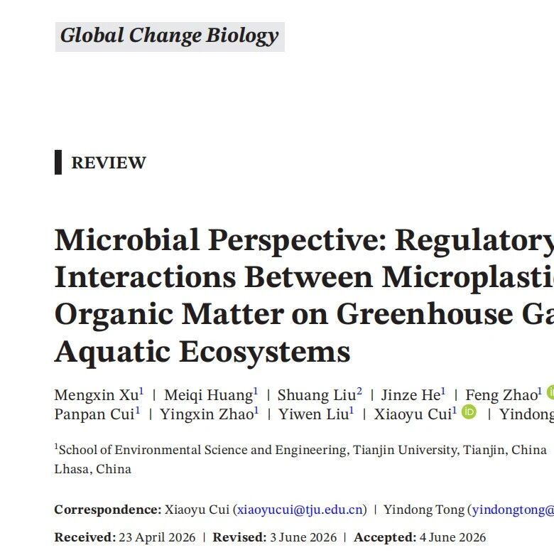 Global Change Biology｜天津大学团队揭示：微塑料与溶解性有机质互作显著重塑水体温室气体排放格局