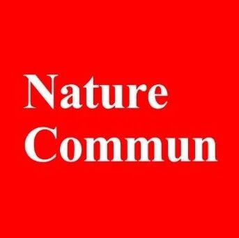 上海交通大学「国家高层次青年人才」梁正最新Nature子刊丨抑制正极产气实现低温快充锂离子电池！