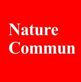 「国家杰青」欧阳钢锋领衔！中山大学汪福宪最新Nature子刊丨O–O键断裂开辟H₂O₂新路径！