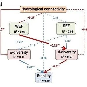Communications Earth & Environment | 烟台海岸带所揭示水文连通性对河口生态系统的“双刃剑”效应