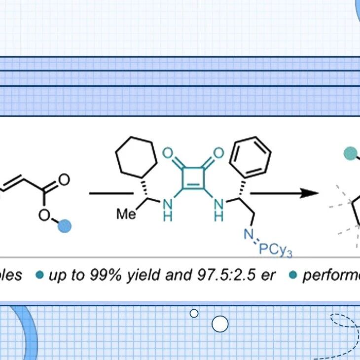 【Angew. Chem.】英国牛津大学：α,β-不饱和酯的催化不对称分子内氮杂-Michael加成反应