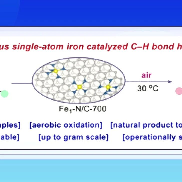 【Angew. Chem.】华中科技大学唐从辉课题组：单原子铁催化烯丙位和炔丙位羟基化