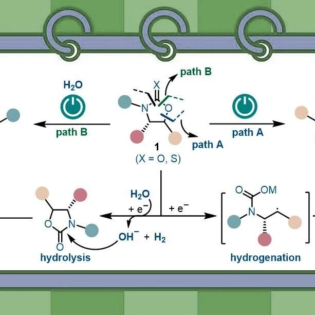 华中师范大学朱翠菊课题组：2-噁唑烷酮的电化学还原发散性水解与加氢反应