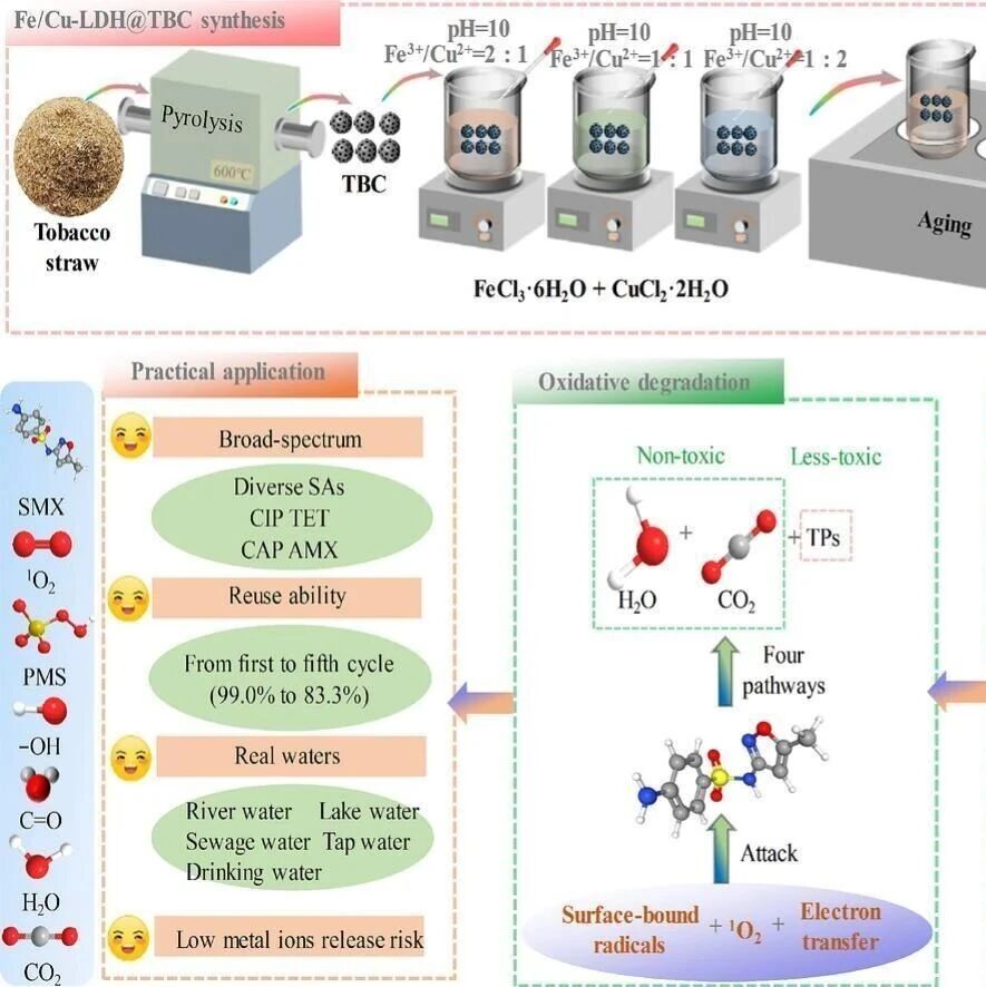 文献速递|河南农业大学CEJ:Fe/Cu-LDH修饰生物炭活化过一硫酸盐对磺胺类化合物的超快降解：界面催化驱动的多重活性氧物种