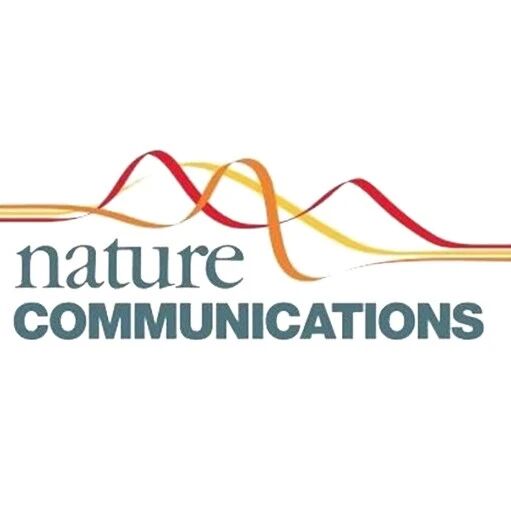 突破！Nature子刊发表电极测厚新法，精度直接拉到纳米级