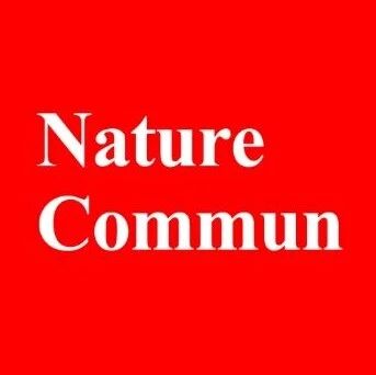 香港城市大学曾志远/黄勃龙&麻省理工李巨最新Nature子刊丨阴离子调控锂成核！