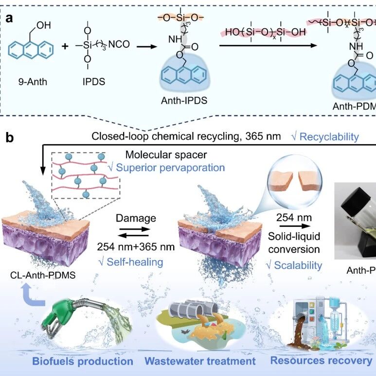 北化秦培勇、司志豪、曹鹏飞 Adv. Mater.：用光给高分子分离膜“续命”