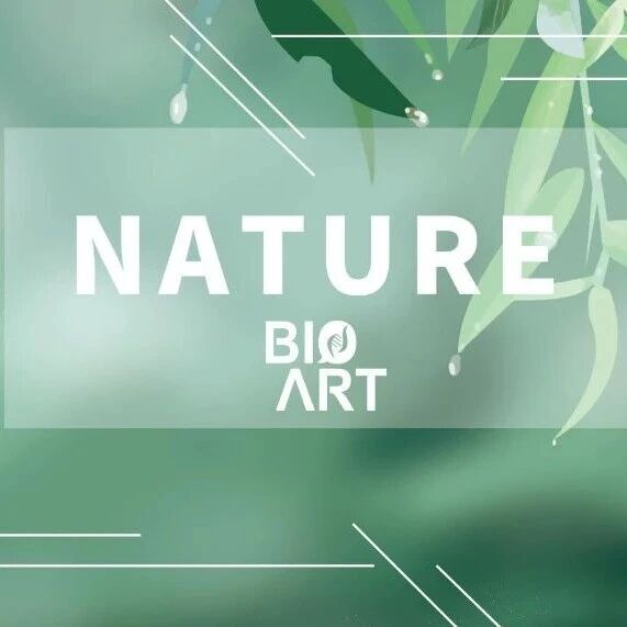 Nature | 从“模糊地图”到“单神经元精度”，蔡静等利用语言模型揭示大脑的语言响应密码