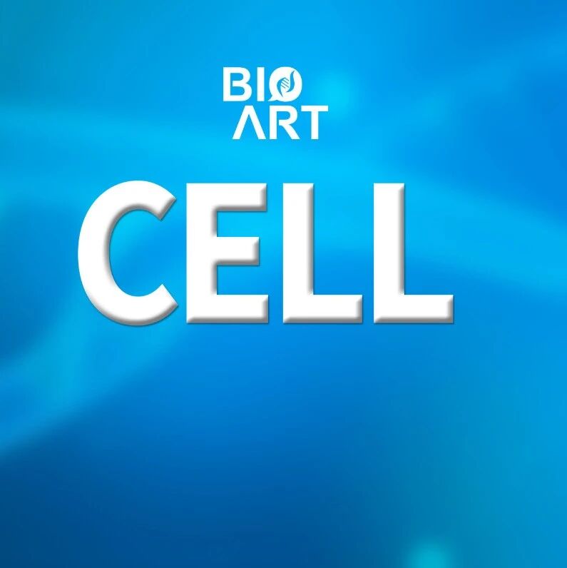 Cell | 李瑞江团队开发基于H&E病理图像预测肿瘤空间栖息地人工智能方案—CANVAS