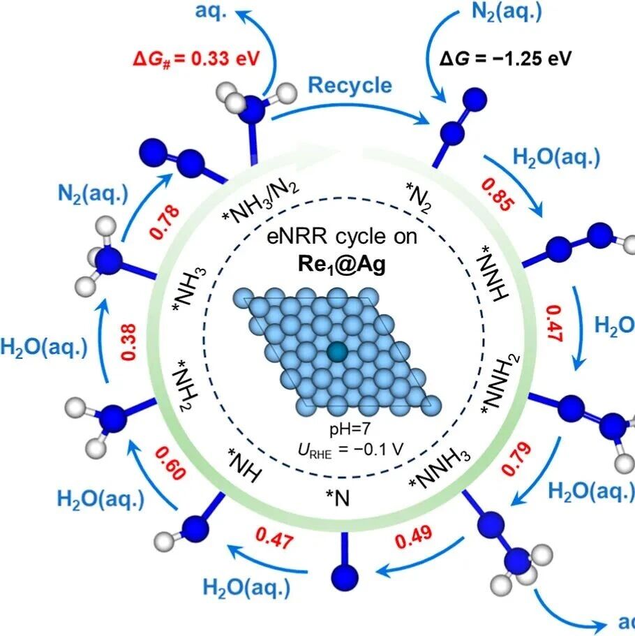 (纯计算)东南大学赵训华团队JACS Au: 在真实电势和溶剂化条件下动力学能垒层面筛选电催化剂