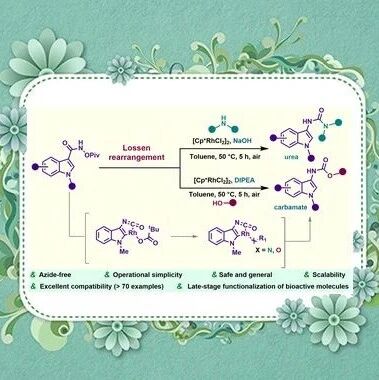 重庆医科大学聂神有课题组Green Chem.：铑催化的Lossen重排反应获得吲哚-3-脲/氨基甲酸酯衍生物的通用和安全策略