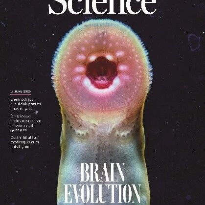 Science封面论文：宿兵/刘石平/逄越合作绘制七鳃鳗全脑3D单细胞图谱揭示脊椎动物脑的祖先蓝图与演化路径