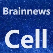 Cell重磅：王凯/徐圣进团队首次实现对同一神经元在体钙活动、全脑投射形态与3D原位基因表达谱的整合解析
