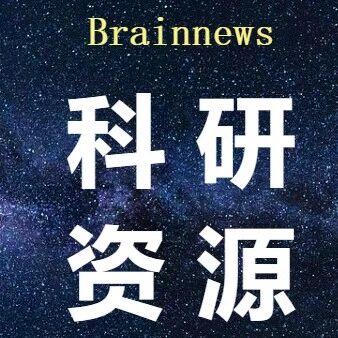 BN科研服务|全脑透明化成像与数据分析