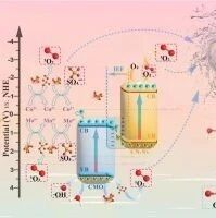 文献速递|中国科学院大学JCIS:具有N空位调制的界面工程S-scheme CoMoO4/CN异质结：pms激活光催化中光生空.