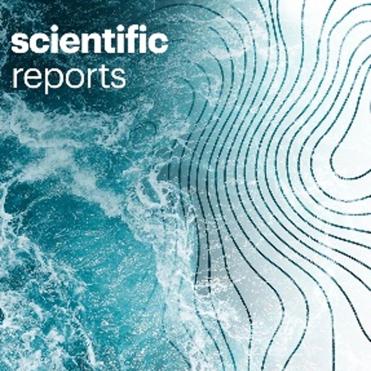 Scientific Reports 15周年：影响力新高，感恩一路同行