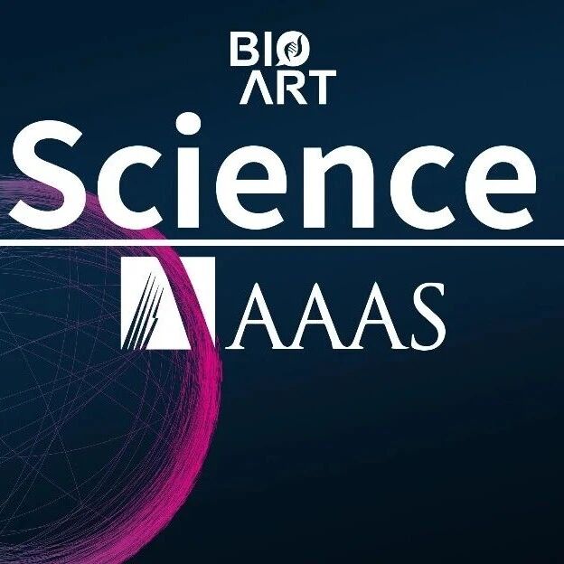 Science丨陈靖/何川/Erika C. Claud 合作揭示母乳营养素塑造新生儿免疫发育与长期免疫印记的机制