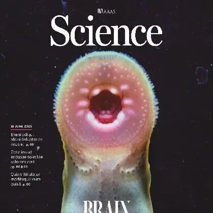 Science封面论文丨宿兵团队构建七鳃鳗全脑3D单细胞图谱，揭示脊椎动物脑的祖先蓝图与演化路径