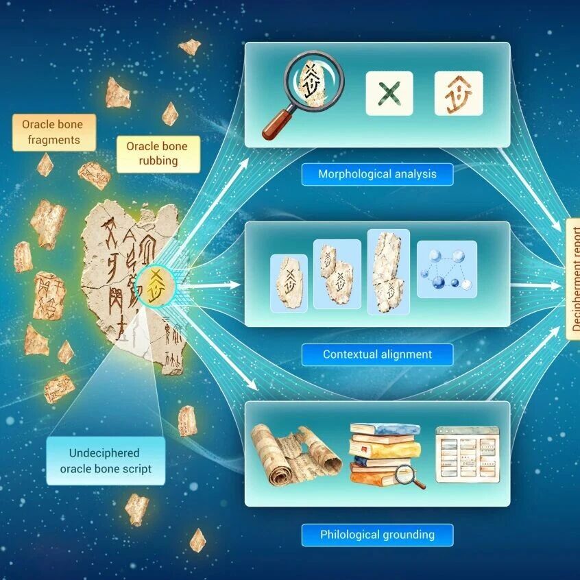 The Innovation | AlphaOracle：让AI像古文字专家一样破译甲骨文