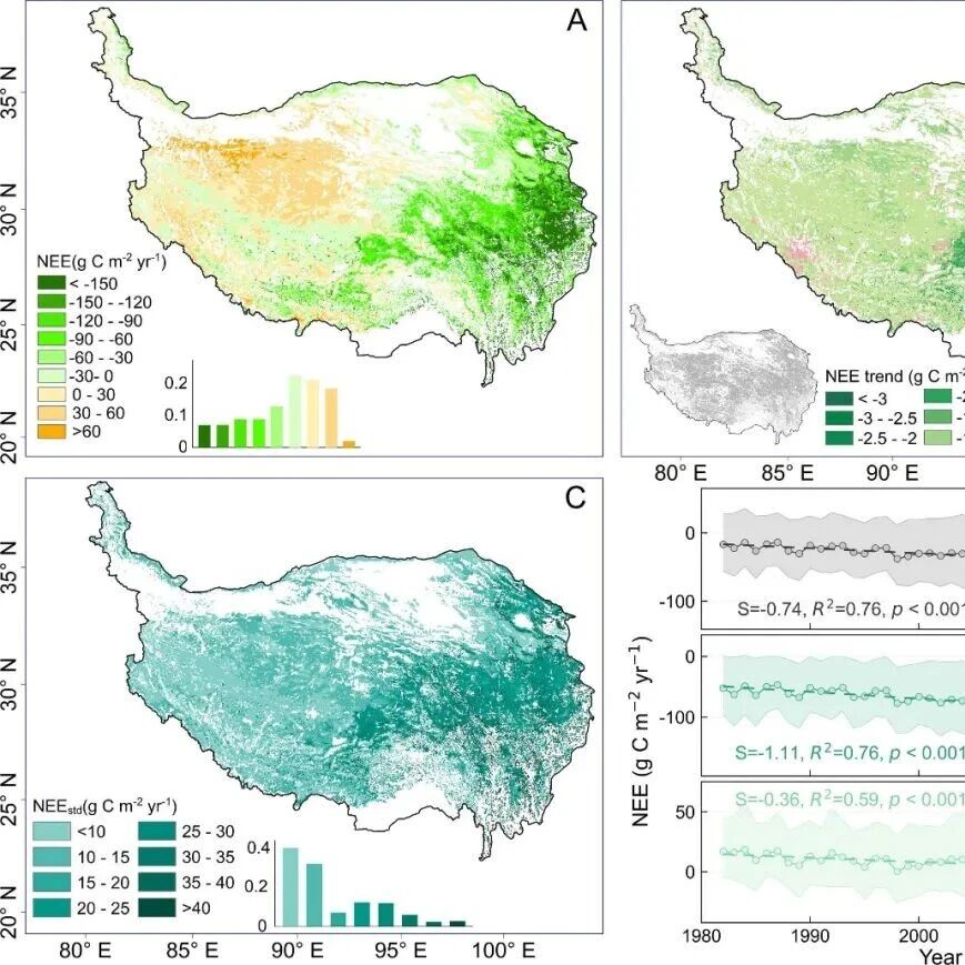 AFM | 中国科学院青藏高原高寒草地碳汇在过去四十年持续增强