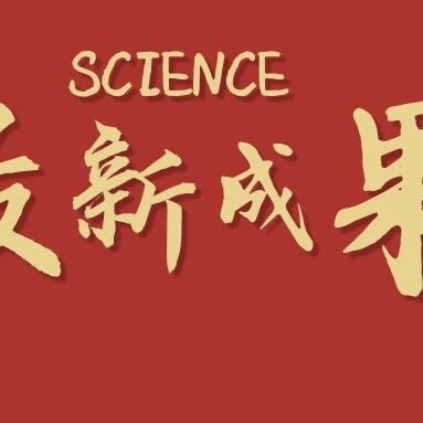 重庆大学领衔Science：高强度高熵合金加工新范式