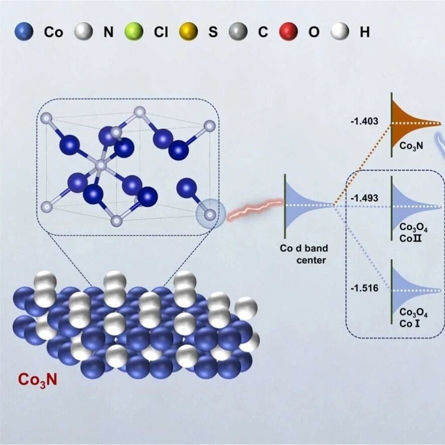 文献速递|河北农业大学ACB:精细调节Co3N纳米酶的D带中心，以实现对新兴有机污染物的高效氧化降解