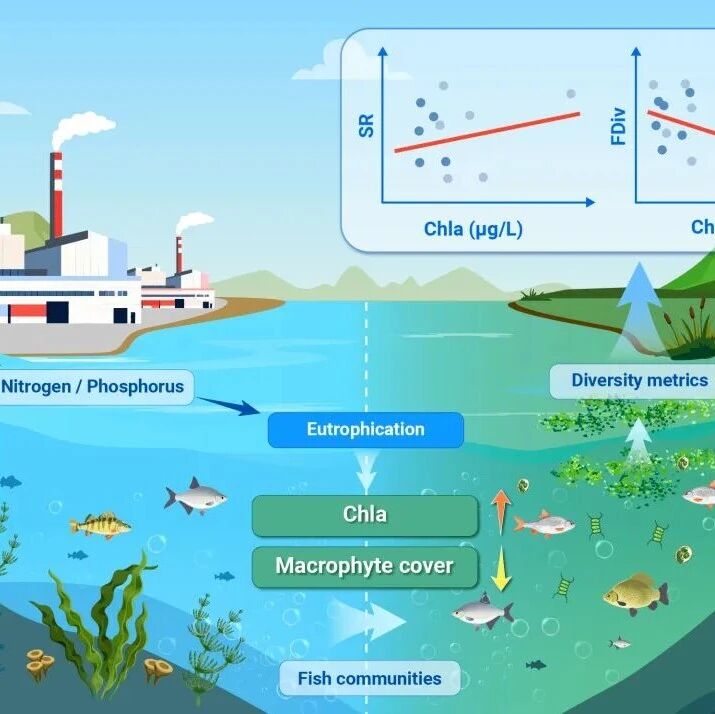 中科院南京地湖所谷孝鸿团队The Innovation Geoscience：更多鱼≠更健康——功能多样性为何比物种数更懂湖泊生态危机？
