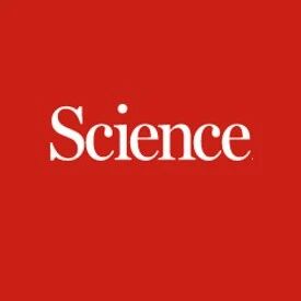 会弹射的种荚  ，登上Science，仿生新思路！