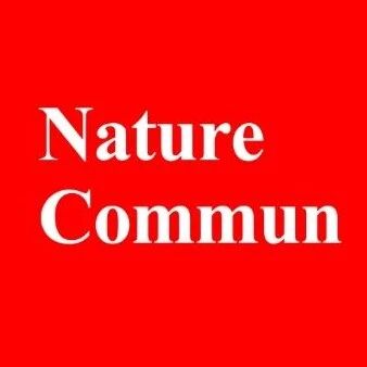 纳米发电机之父——「六院院士」王中林领衔！纳米能源所/东华大学Nature子刊 | 六种半结晶聚合物与接触起电关联！