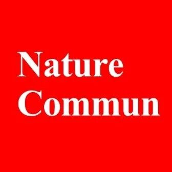 「国家杰青」余家国领衔！地大/江苏大学姜志锋/南开大学姜传佳Nature子刊丨单原子光催化点击反应！
