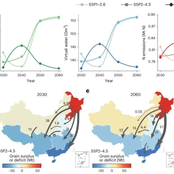 Nature Food | 浙江大学谷保静团队揭示粮食生产北移让北方背负更重环境包袱