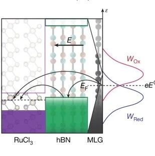 加州大学伯克利分校Nature: 界面电子转移中重组能的电子起源