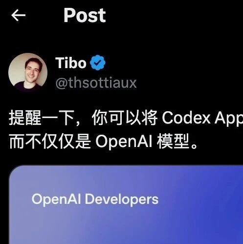 刚刚，Codex负责人官方发声：Codex原生支持其他模型！