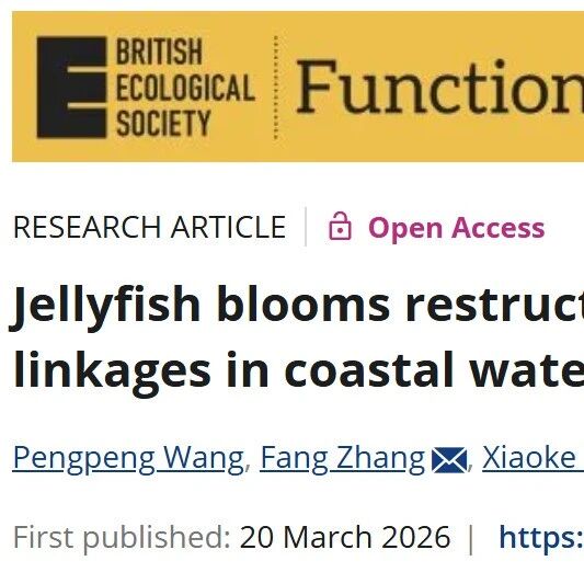 Functional Ecology | 水母繁殖如何重塑海洋生态系统：中国胶州湾的研究结果