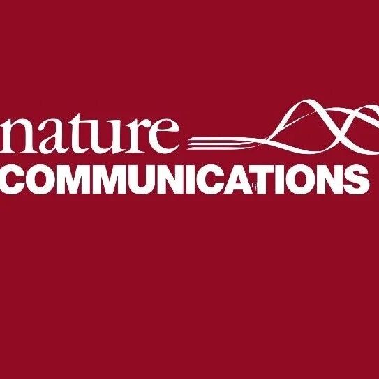 曾志远/李巨/黄勃龙等Nature Communications：原位液相透射电镜解密阴离子对锂调控的内在机制